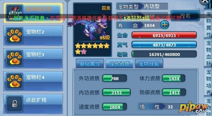 神雕侠侣丐帮侠客和宠物搭配2